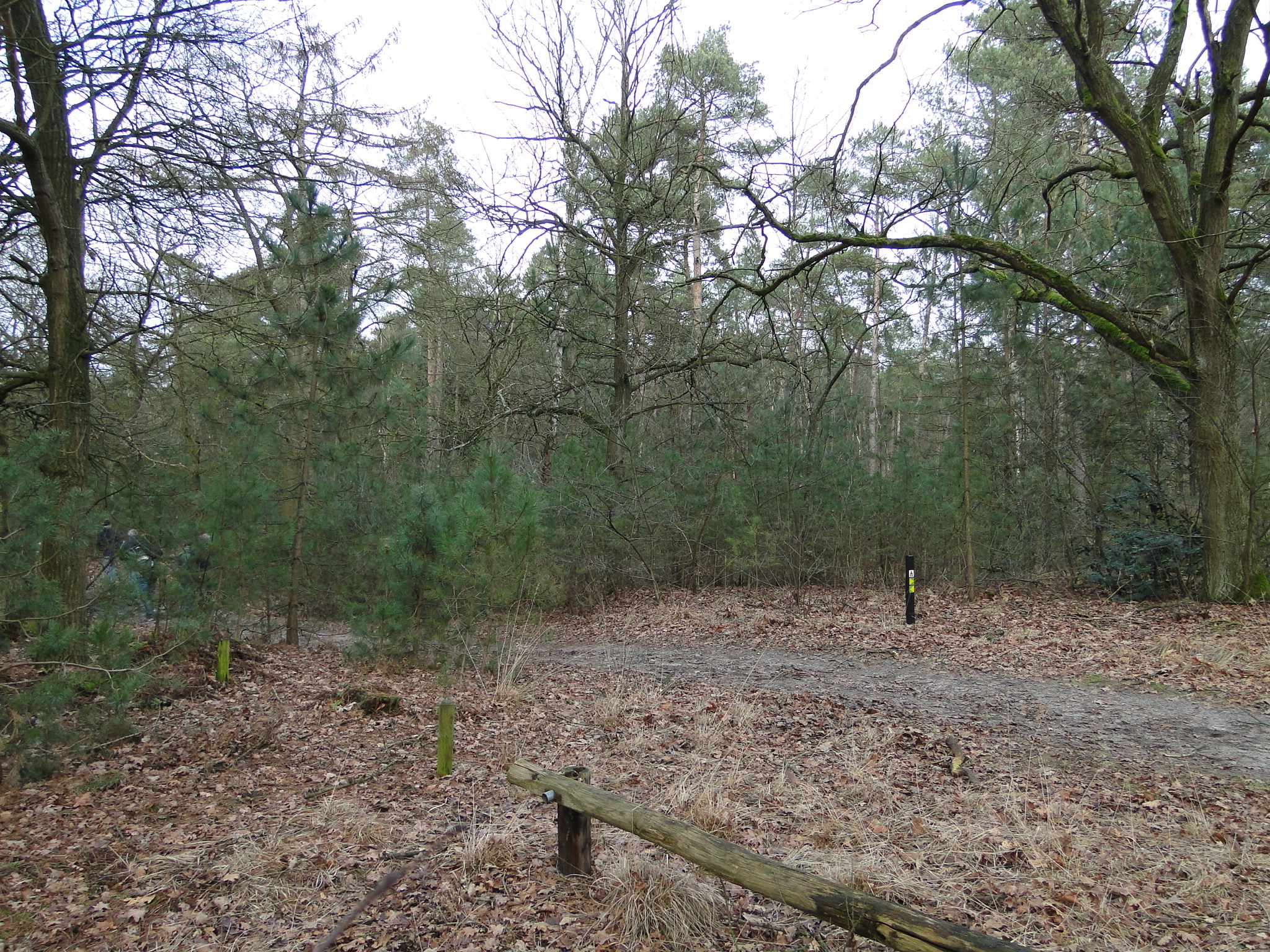 NWK 2012 041.jpg